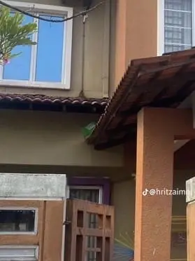 M'sian Delivery Man Places Parcel On Roof After Customer Told To Keep It Out Of His Cat's Reach