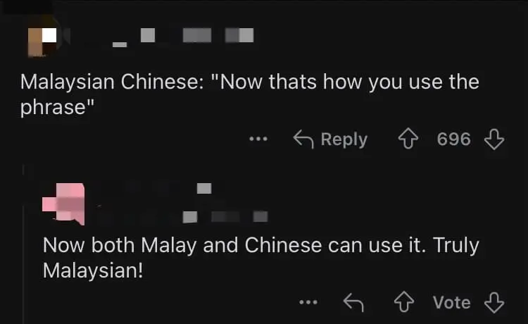 'Balik China Lah!' — M'sian Chinese Tells Off China Tourist Who Cut Queue At KL Pop Mart comment 1