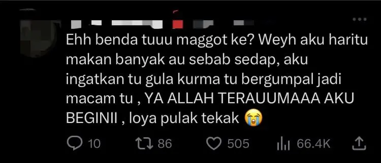 "No Wonder It Tasted Soft & Sweet" — M'sian Horrified To Find Maggot Eggs Insides Dates comment 1