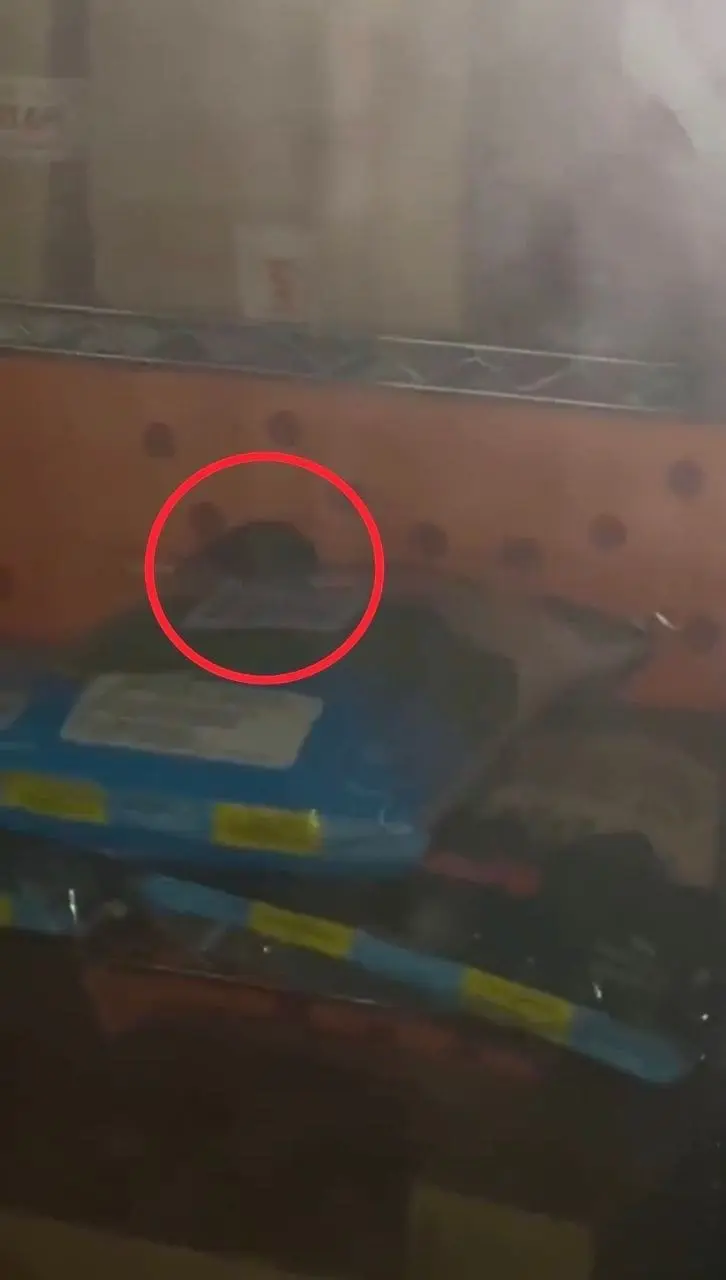 Rat Spotted At AEON Cheras Selatan McDonald's Branch, Netizens Disgusted