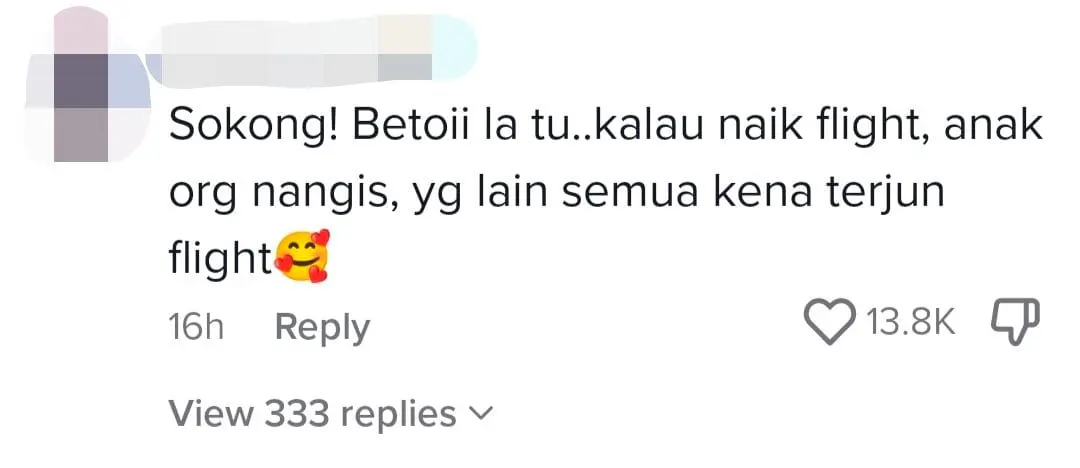 "Just Eat At Home!" — M'sian TikToker Bashed For Telling Others To Stay Home If They Can't Stand Noisy Children comment 2
