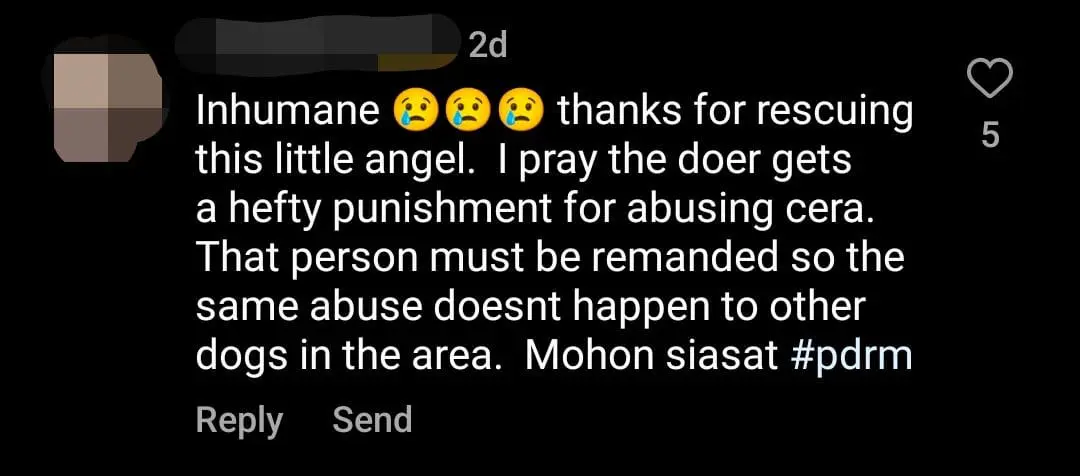 M’sian Man Hits Puppy Over 10 Times With Stick, Threatens To Hit Those Who Intervene comment 1