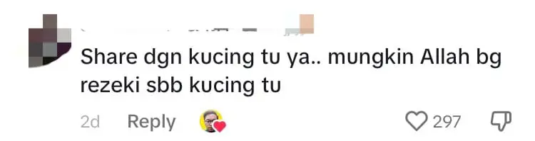 M'sian Delivery Rider Saves Cat From Reversing Car, Driver Rewards Him With RM110 For Good Deed comment 3