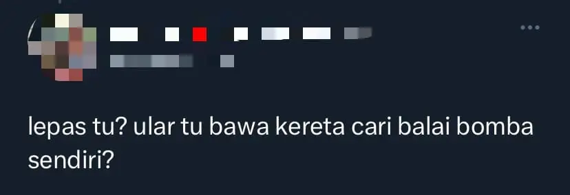 M'sian Couple Keep Their Cool Over Giant Python Which Was Crawling On Car Windshield comment 3