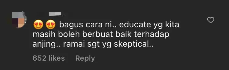 Khairul Aming Praised For Feeding Stray Dogs Who Accompanied Him On Hiking Trip comment 1