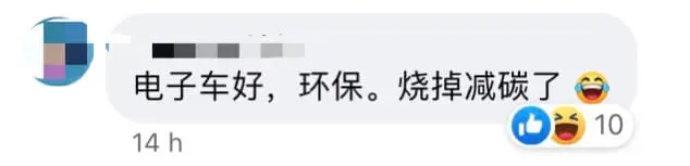 Tesla Car Catches Fire In Puchong & Suffers 70% In Damages comment 2