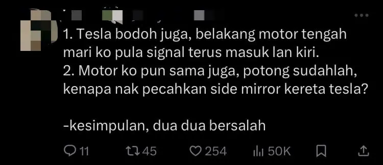 Tesla Driver Rams Into M'sian Motorcyclist Who Hit Side Mirror Out Of Anger comment 2