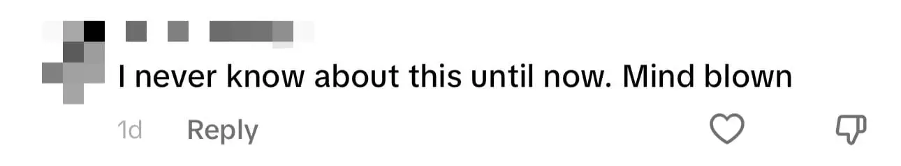 "Chicken Chop Belongs To Msia, Not The West" - British TikToker Confirms comment 3