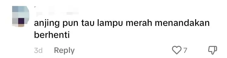 'Even It Follows The Rules' — M'sians Amused To See Stray Dog Waiting For Traffic Light To Turn Green comment 1