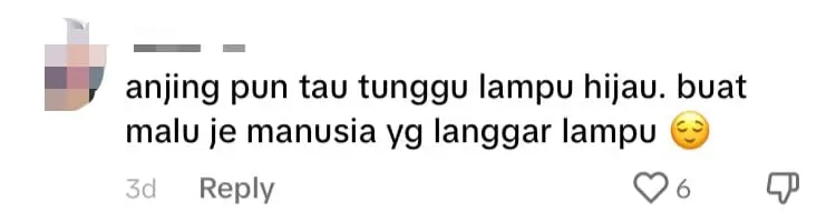 'Even It Follows The Rules' — M'sians Amused To See Stray Dog Waiting For Traffic Light To Turn Green comment 2