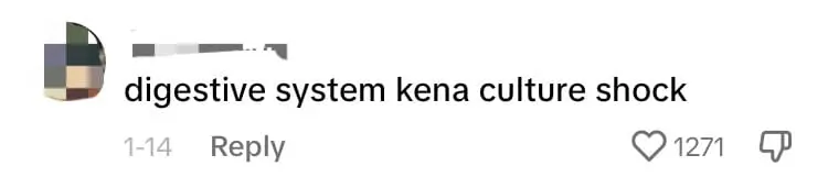 SG TikToker Eats Bags Of Fried Insects In Bangkok, Lands Herself In The Hospital comment 2