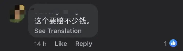 M'sian Woman Forgets To Put Back Pump Nozzle & Drives Off, Rips Cord Into Half comment 3