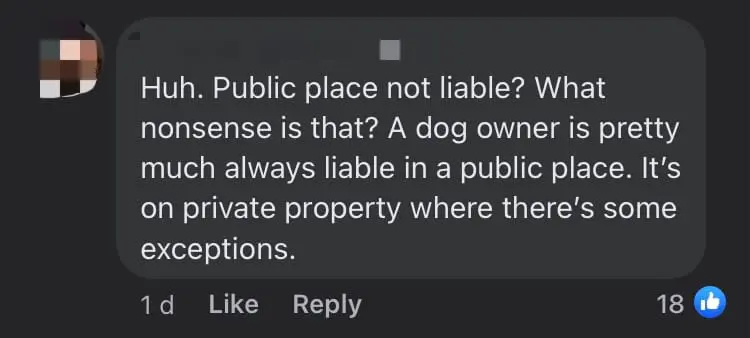 Dog Bites 4yo Boy At Christmas Event In S'pore, Owner Says She's Not Liable For His Injuries comment 1