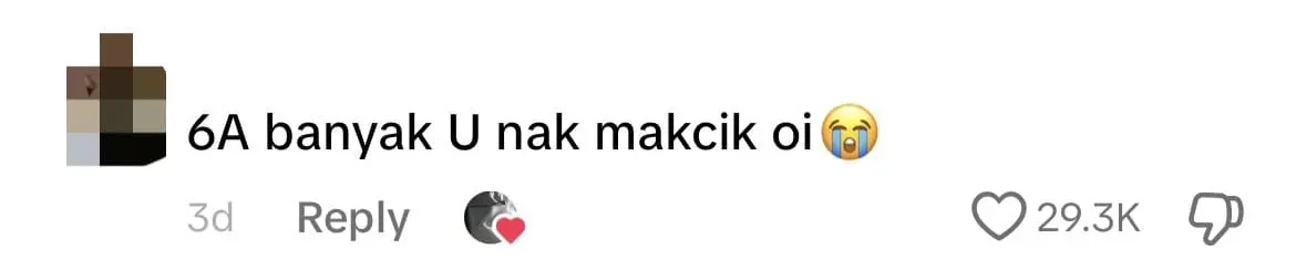 'Not Good Enough' — M'sian Woman Tells Son To Retake SPM After He Failed To Score Straight As comment 1