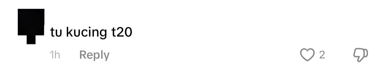 Cat Leaves It's Poop On M'sian Influencer's Lamborghini After Lounging On It comment 2