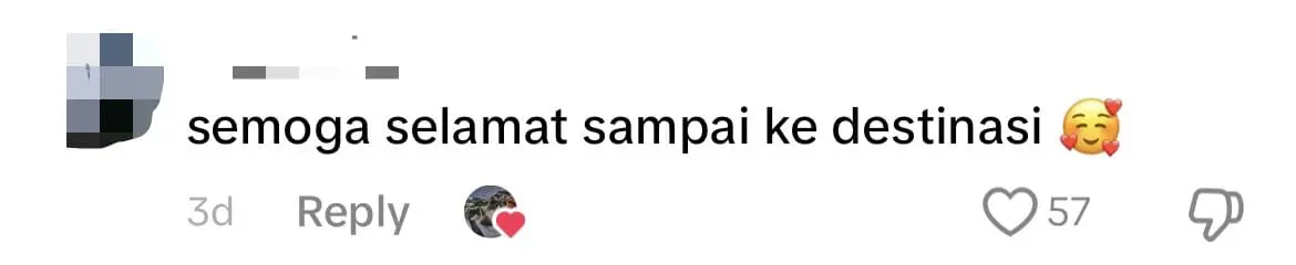 M'sian Man Rents Lorry Just To Move His 100 Cats From Ipoh To His New Home In Kedah comment 3