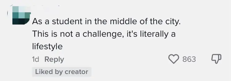 This M'sian TikToker Spent Only RM10 A Day On Food. Here's How He Did It comment 1