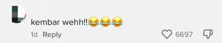 M'sian Woman & Guinea Pig Amuse Netizens With Their In Sync Reaction To Fireworks comment 3