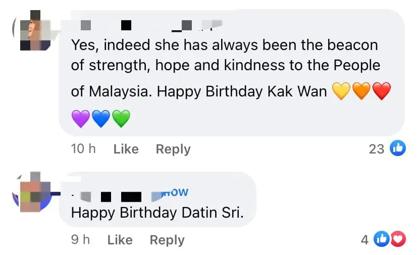 Anwar's Birthday Wish To His Wife Wan Azizah Melts The Hearts Of M'sian Netizens comment 2