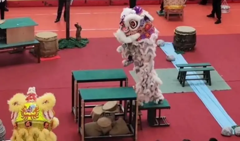 Malay girl and Chinese partner perform lion dance