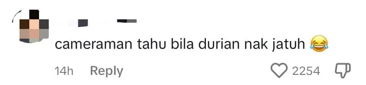 M'sian Driver's Windscreen Gets Smashed After Durian Falls Off Tree And Lands Right On Top comment 3