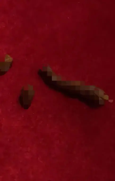 M'sian Shocked To Find Poop Left Behind On Couch At Johor Karaoke Joint