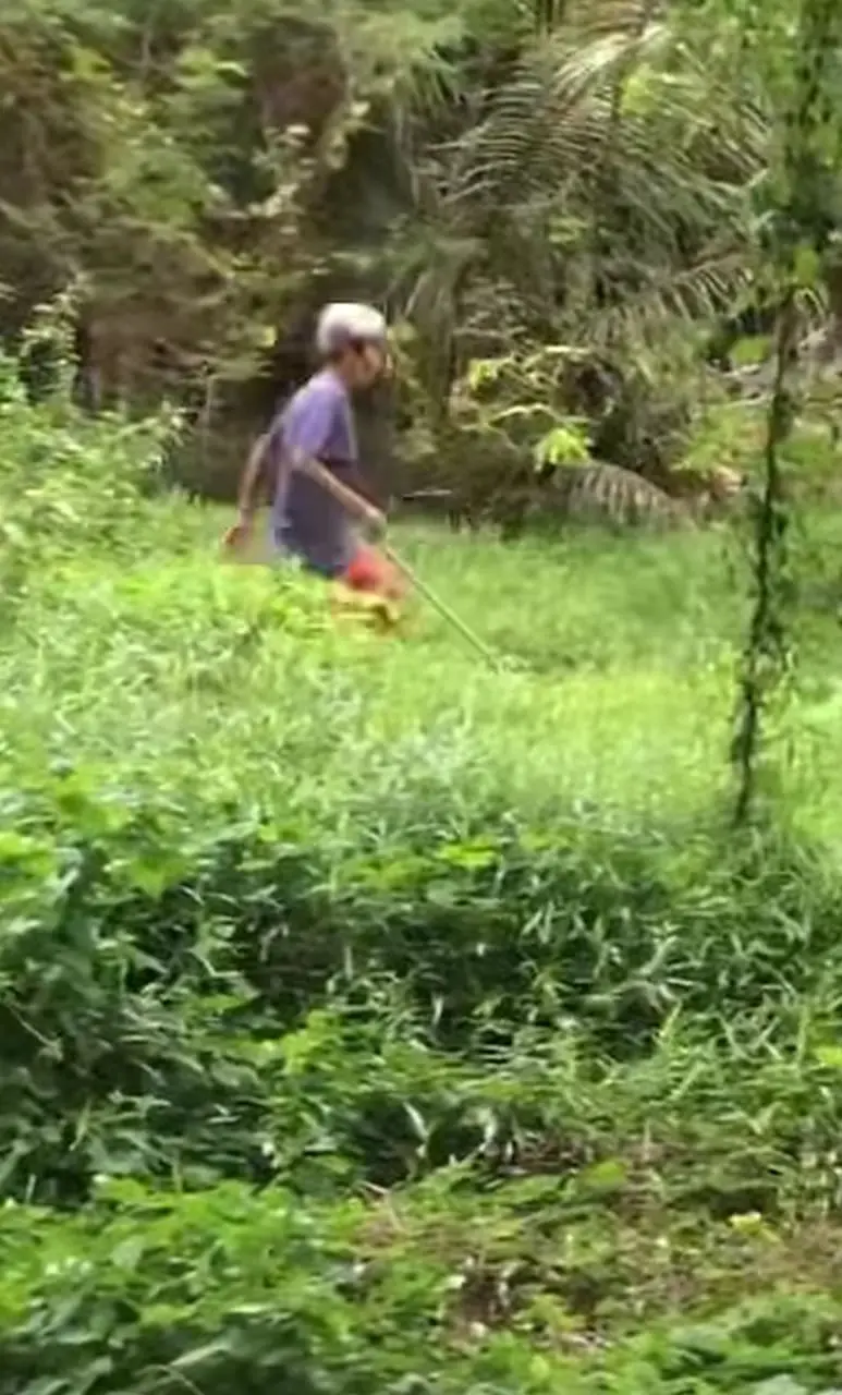 The other side of the elderly woman's issue posted on The Baruh Glamping's FB post