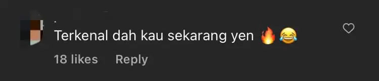 American Man Spots Ginger Cat In His Backyard & Calls It 'Oyen', Amuses M'sian Netizens comment 3