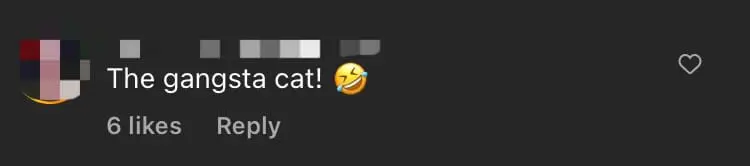 American Man Spots Ginger Cat In His Backyard & Calls It 'Oyen', Amuses M'sian Netizens comment 2