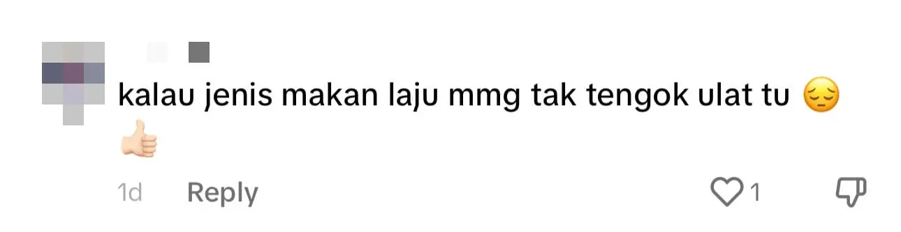 M'sian Man Disgusted To Find Egg Yolk Filled With Maggots Inside Nasi Lemak comment 2