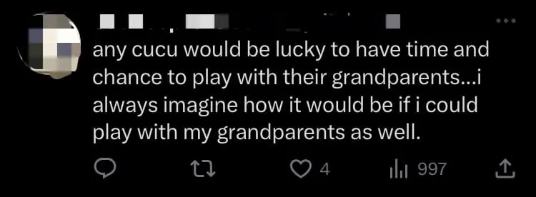 Anwar Has Pillow Fight With His Grandkids And Our Hearts Are Melting Already comment 3