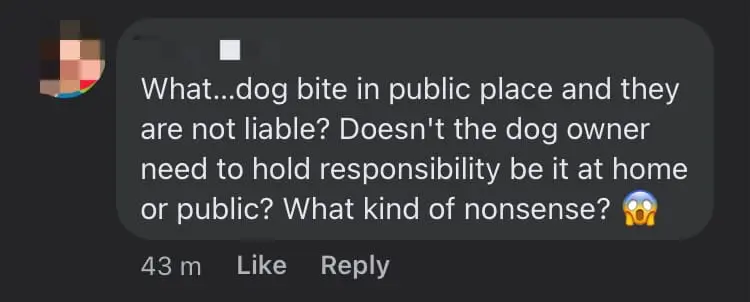 Dog Bites 4yo Boy At Christmas Event In S'pore, Owner Says She's Not Liable For His Injuries comment 2