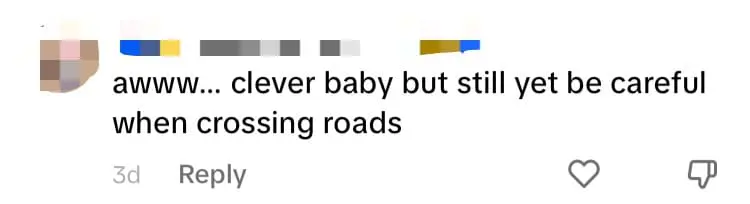 'Even It Follows The Rules' — M'sians Amused To See Stray Dog Waiting For Traffic Light To Turn Green comment 3