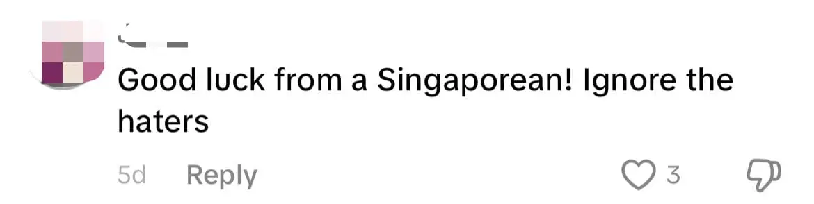 'Too Many Perverts Here' — SG Woman Says She Moved To Amsterdam As She Felt Unsafe comment 4