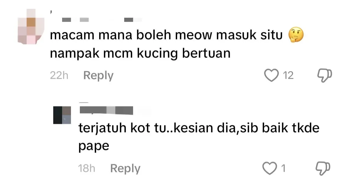 Johor Zoo Worker Saves Kitten From Being Eaten By Tigers After It Fell Into Enclosure comment 2