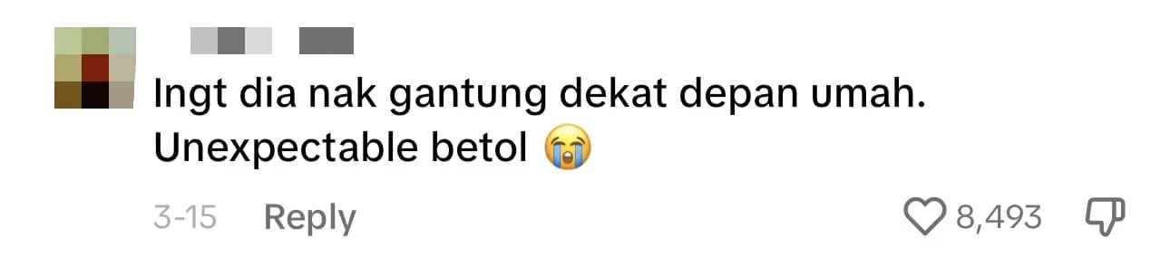 M'sian Woman Takes 6 Hours To Decorate Her Car With Raya Lights And Brings It For A Drive comment 2