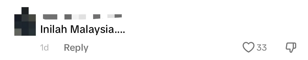 M'sian Woman Engages In Fluent Tamil Conversation With Neighbors During Raya Celebration comment 3