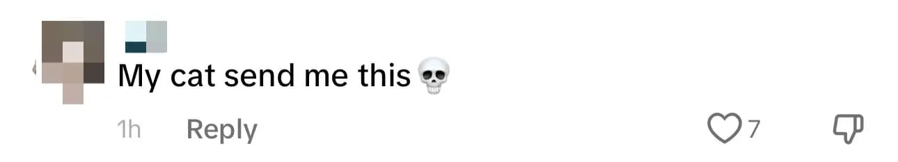 M'sian Family Celebrates Cat's Birthday At Louis Vuitton, Gets A LV Collar & Self Portrait comment 2