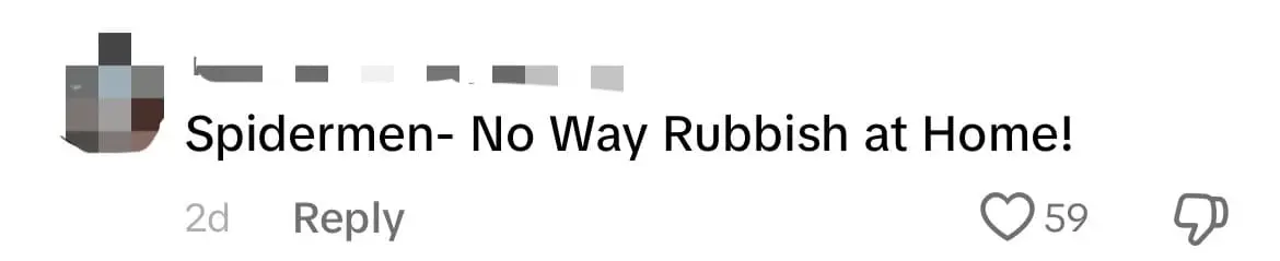 'Even Heroes Need Part-Time Jobs' — M'sian Man Collects Trash While Wearing 'Spiderman' Mask comment 3