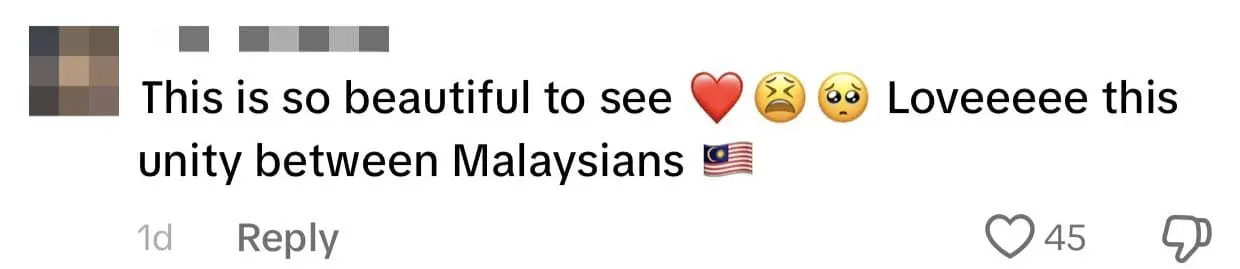 M'sian Spouses Unite Cultures With Kompang, Lion Dance, And Urumi Melam At Wedding comment 3