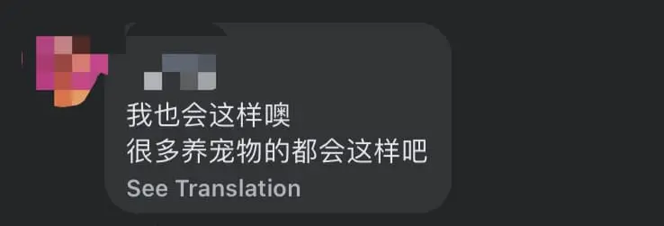 "I Only Care About My Cat" — Penang Woman Rushes To Cat's Aid After Crashing Her Car In An Accident