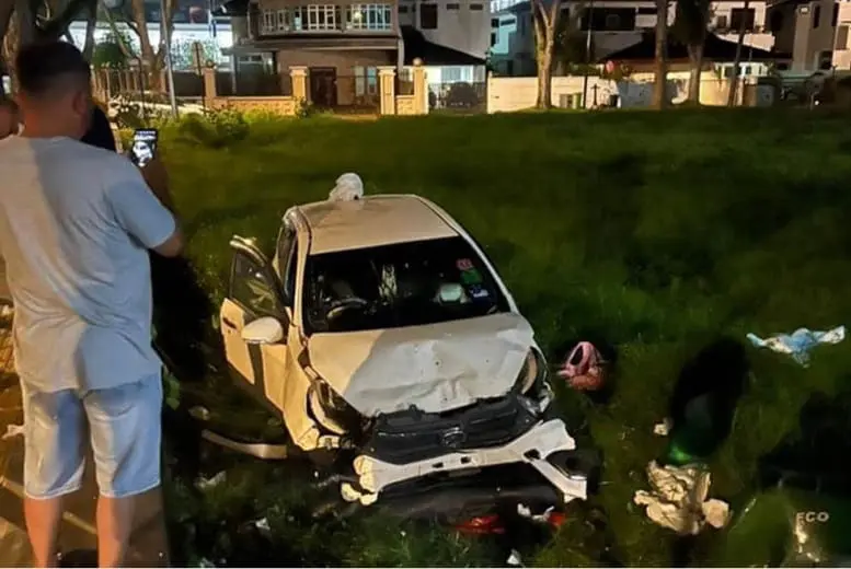 "I Only Care About My Cat" — Penang Woman Rushes To Cat's Aid After Crashing Her Car In An Accident