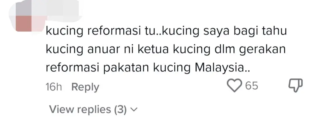 Anwar Ibrahim's Cat Named Billy Warms The Hearts Of Reporters & Netizens