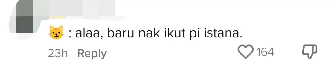 Anwar Ibrahim's Cat Named Billy Warms The Hearts Of Reporters & Netizens