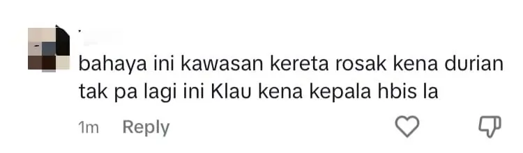 M'sian Driver's Windscreen Gets Smashed After Durian Falls Off Tree And Lands Right On Top comment 2