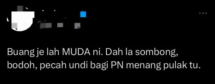 Selangor DAP Wanita Secretary Tells Syed Saddiq To Resign After MUDA Wins 0 Seats At State Polls comment 1