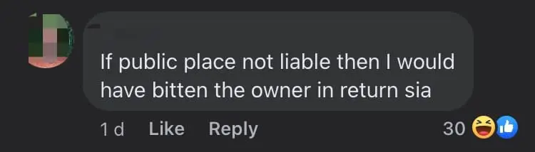 Dog Bites 4yo Boy At Christmas Event In S'pore, Owner Says She's Not Liable For His Injuries comment 3