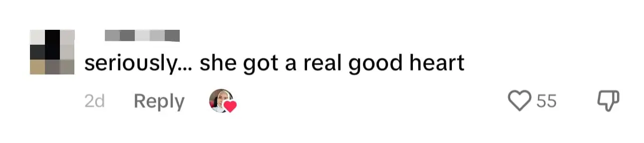 M'sian Aunty Wins Netizens' Hearts After Taking Deceased Cat Off The Road comment 3