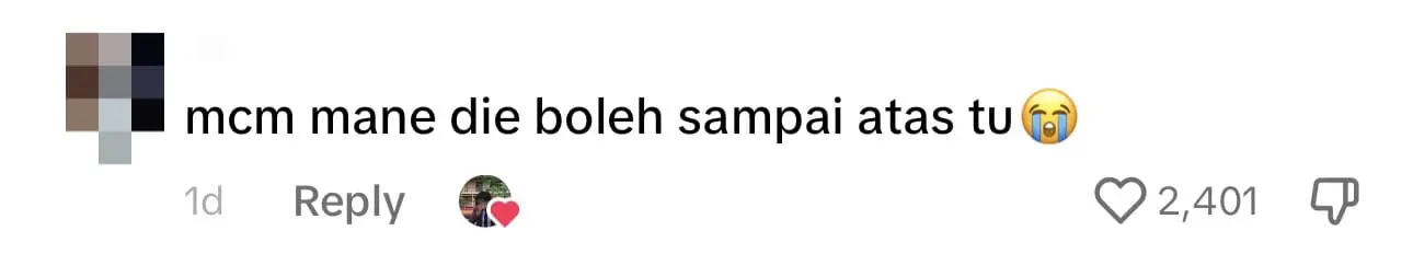 M'sian Delivery Man Places Parcel On Roof After Customer Told To Keep It Out Of His Cat's Reach comment 3