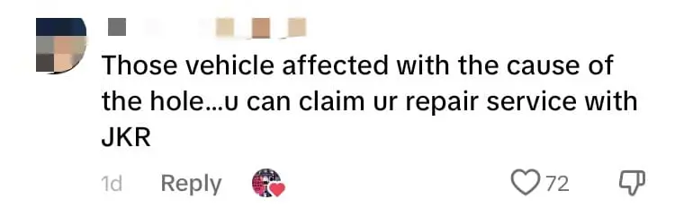 M'sian Man Puts Tree Branch Inside Giant Pothole To Warn Other Drivers comment 4